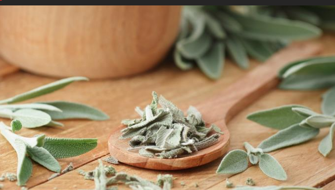 OVU BILJKU MORATE UVIJEK DA NOSITE SA SOBOM: Zaboravit ćete na bolesti, loš san i depresiju