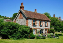 Ovu biljku nikako nemojte da sadite u dvorištu: Tjera sreću iz kuće i unosi maler