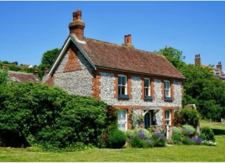 Ovu biljku nikako nemojte da sadite u dvorištu: Tjera sreću iz kuće i unosi maler