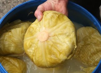 Zdravstvene Prednosti Kiselog Kupusa: Iskustvo Grkinje iz Sydneya