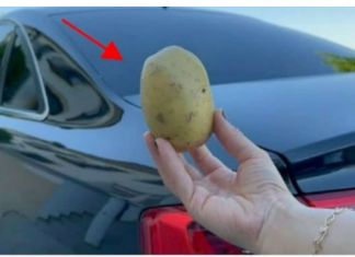 Imati 1 krompir u autu može vam “spasiti” život i NIKO VAM TO NEĆE REĆI!