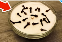 SVI ME PITAJU ZAŠTO U MOJOJ KUĆI TAKO LIJEPO MIRIŠE: Ovo je trik koji koristim, samo 2 sastojka – A KUĆA MIRIŠE DANIMA