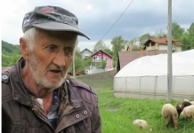 “Kad se preudala, majka je nas 3 bacila u sneg: Pamtim kad su svatovi došli po nju, a mi deca krenuli za njom…”