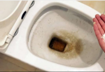 Zaboravite OCAT: Ovaj sastojak iz kuhinje čisti toalet u trenu – bez kamenca, žutih mrlja i mirisa!