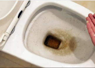 Zaboravite OCAT: Ovaj sastojak iz kuhinje čisti toalet u trenu – bez kamenca, žutih mrlja i mirisa!