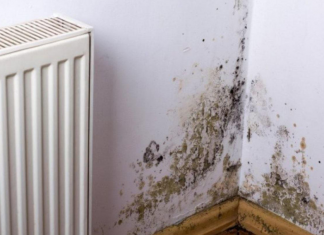 Nijemci imaju rješenje za vlagu: ‘Po najnižoj temperaturi napravimo ovo i sve odlazi zauvijek’