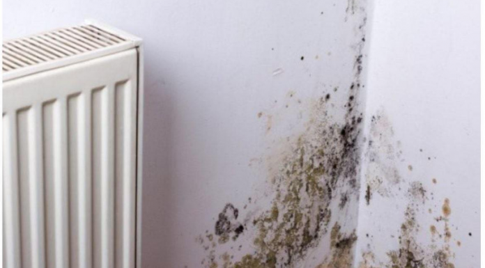 Nijemci imaju rješenje za vlagu: ‘Po najnižoj temperaturi napravimo ovo i sve odlazi zauvijek’