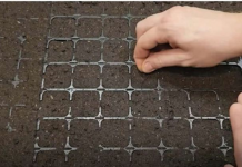 Točan DATUM sjetve paradajza, paprike, krastavaca i mrkve u 2025. godini: Vrtlari, ZAPIŠITE OVO!