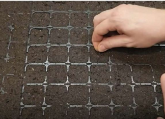 Točan DATUM sjetve paradajza, paprike, krastavaca i mrkve u 2025. godini: Vrtlari, ZAPIŠITE OVO!