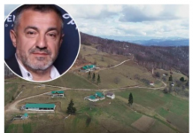 Traži nekoga da mu čuva dedovinu, nudi 700€ i boravak u kući uz 1 uslov: BIZNISMEN IZ AMERIKE IMA JEDAN ZAHTEV!