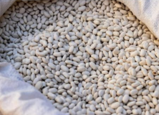 Grah prije kuhanja nikako nemojte potapati u vodi: Umjesto toga iskoristite jednu namirnicu