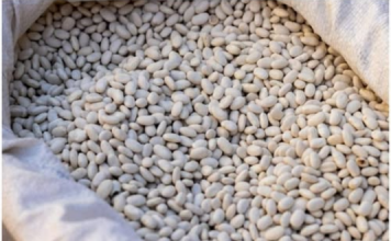 Grah prije kuhanja nikako nemojte potapati u vodi: Umjesto toga iskoristite jednu namirnicu