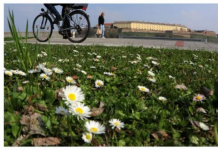 Narodno vjerovanje o sunčanom februaru ima višestruko značenje, evo šta sve predviđa