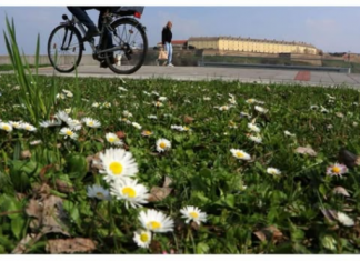 Narodno vjerovanje o sunčanom februaru ima višestruko značenje, evo šta sve predviđa