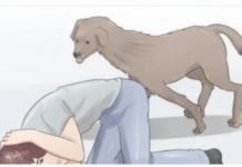 U blizini loše osobe svaki pas uradi SAMO jednu stvar: Dobro zapamtite ovu reakciju