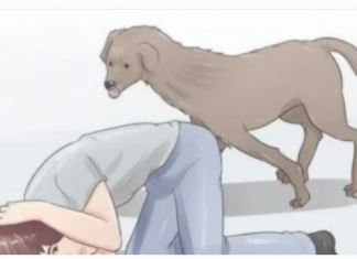 U blizini loše osobe svaki pas uradi SAMO jednu stvar: Dobro zapamtite ovu reakciju