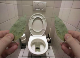 Zato sam stavio lovorov list u kupatilo: Znale su već naše bake!