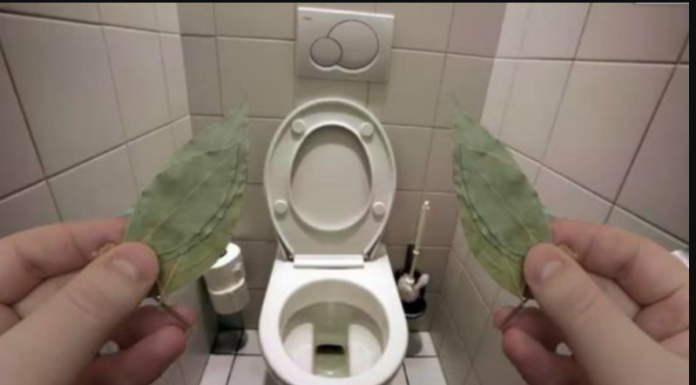 Zato sam stavio lovorov list u kupatilo: Znale su već naše bake!