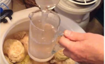 Zašto je dobro piti rasol naročito zimi? Evo šta radi vašem organizmu