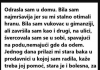 ODRASLA SAM U DOMU. BILA SAM NAJMRŠAVIJA JER SU MI STALNO OTIMALI HRANU. BILA SAM ….