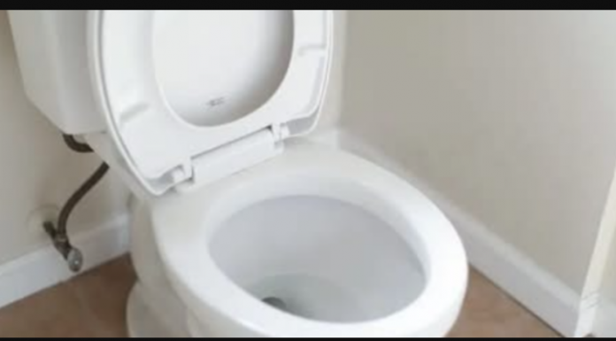 U WC školjku izlijte ocat pomiješan s praškom za pranje i soli: Nevjerojatno što se događa nakon nekog vremena!