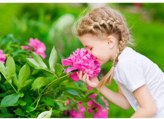 Ovo je najpopularnije ime na svetu za devojčice: Označava mudrost i veruje se da osobi koja ga nosi donosi sreću i uspeh