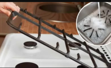 BAKINIM SAVJETIMA Pokušao sam očistiti rešetku peći i od tada nisam drugačije: Čisti savršeno i potpuno jednostavno!