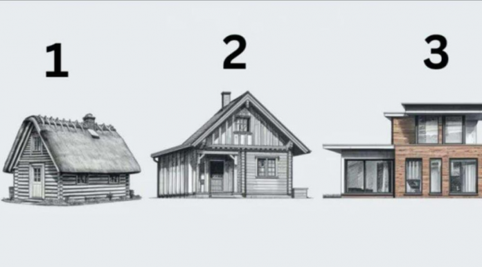 TEST! U KOJOJ KUĆI BISTE ŽIVJELI? Evo šta to govori o vama, OPREZ-SVIMA JE POGODILO!
