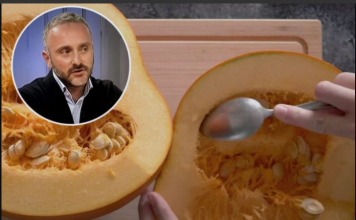 DAJEMO JE SVINJAMA, A NEMAMO POJMA KOLIKO JE ZDRAVA: Srpski travar otkrio sve o bundevi – ne bacajte ni sjemenke!