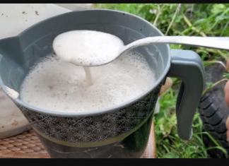 ŽELITE PUNO VELIKIH PAPRIKA, PARADAJZA I KRASTAVACA? Svaku biljku jednom mjesečno hranite ovim čudom, ništa više!