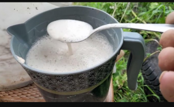 ŽELITE PUNO VELIKIH PAPRIKA, PARADAJZA I KRASTAVACA? Svaku biljku jednom mjesečno hranite ovim čudom, ništa više!