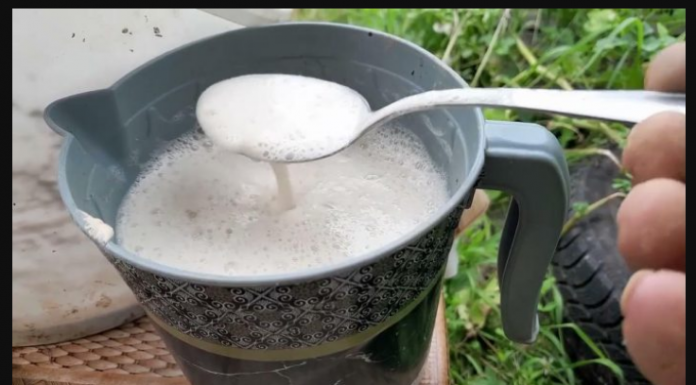 ŽELITE PUNO VELIKIH PAPRIKA, PARADAJZA I KRASTAVACA? Svaku biljku jednom mjesečno hranite ovim čudom, ništa više!