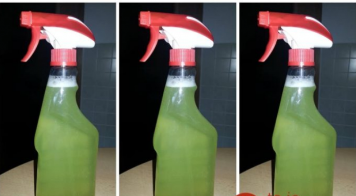 Sve dok me sestra nije obavestila o ovom zelenom čudu, čišćenje kupatila je bio užas: Cijelo kupatilo je bilo čisto za minut – SVE PREPARATE SAM ODLOŽIO IZ PRODAVNICE!