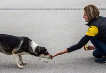 ZNATE LI ŠTA ZNAČI AKO VAM PAS LIŽE RUKU: Nije ljubav, evo šta vam time poručuje