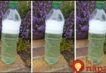 Sredstvo za ubijanje korova za par centi – očistilo je beton, terasu i cijelu baštu: ISPROBANO I NAJJAČE, NE MOGU GA ODLOŽITI!