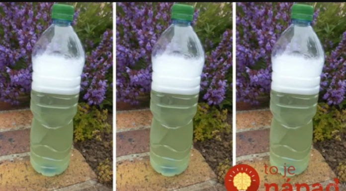 Sredstvo za ubijanje korova za par centi – očistilo je beton, terasu i cijelu baštu: ISPROBANO I NAJJAČE, NE MOGU GA ODLOŽITI!