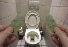 Evo zašto sam stavio lovorov list u kupatilo: Znale su već naše bake!