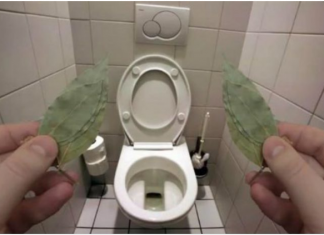 Evo zašto sam stavio lovorov list u kupatilo: Znale su već naše bake!