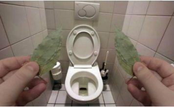 Evo zašto sam stavio lovorov list u kupatilo: Znale su već naše bake!