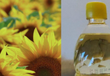 Sve piše na etiketi, ali niko ne čita: Zašto ulje nikada ne treba čuvati u kuhinjskom ormariću