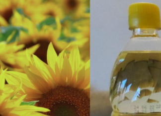 Sve piše na etiketi, ali niko ne čita: Zašto ulje nikada ne treba čuvati u kuhinjskom ormariću