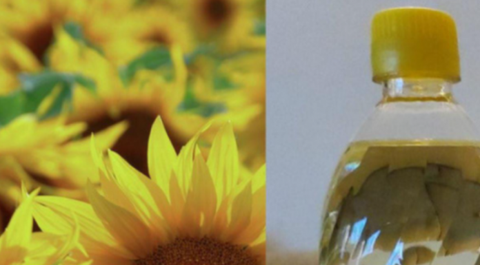 Sve piše na etiketi, ali niko ne čita: Zašto ulje nikada ne treba čuvati u kuhinjskom ormariću