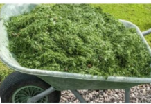 NIKAD NEMOJTE BACATI POKOŠENU TRAVU, samo uradite ovo! Bolje od 100 gnojiva!