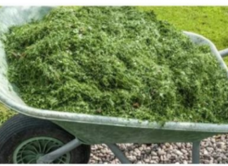 NIKAD NEMOJTE BACATI POKOŠENU TRAVU, samo uradite ovo! Bolje od 100 gnojiva!