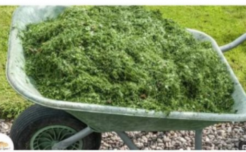 NIKAD NEMOJTE BACATI POKOŠENU TRAVU, samo uradite ovo! Bolje od 100 gnojiva!