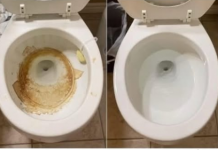Nije sirće ni soda bikarbona: Ovo sredstvo najbolje uklanja kamenac u WC šolji
