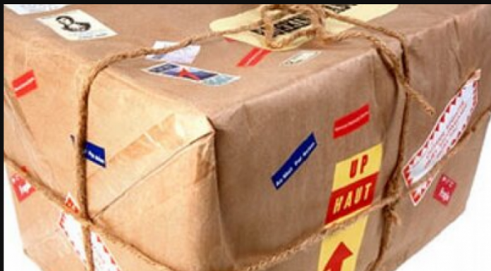 DOBILA POKLON IZ AMERIKE OD ROĐAKE: Kad je stigao na adresu, svi su zanijemili od šoka