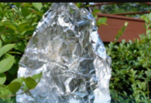 Ovog proljeća svi vješaju kuglice aluminijske folije u svoje vrtove: Kad saznate zašto i vi ćete!