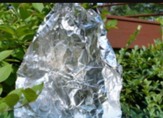 Ovog proljeća svi vješaju kuglice aluminijske folije u svoje vrtove: Kad saznate zašto i vi ćete!