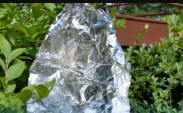 Ovog proljeća svi vješaju kuglice aluminijske folije u svoje vrtove: Kad saznate zašto i vi ćete!